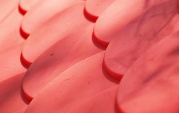 Cracow Moss plastic roof costs