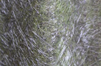 Cracow Moss fibreglass roof work